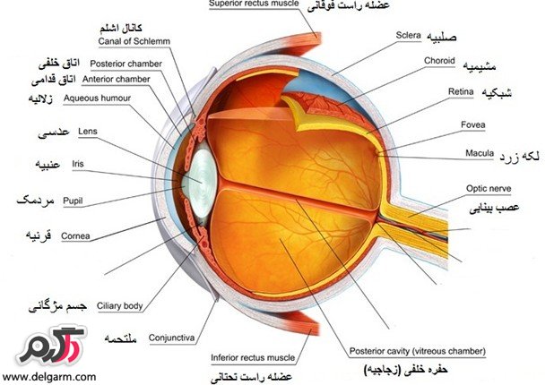آستیگماتیسم