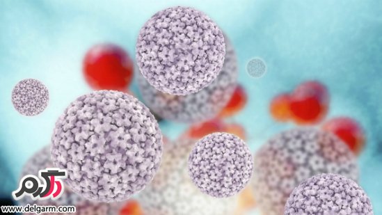 ویروس HPV ؛ ویروسی خطرناک در زنان و مردان