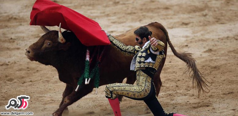جشن های عجیب و غریب جشن های عجیب و غریب