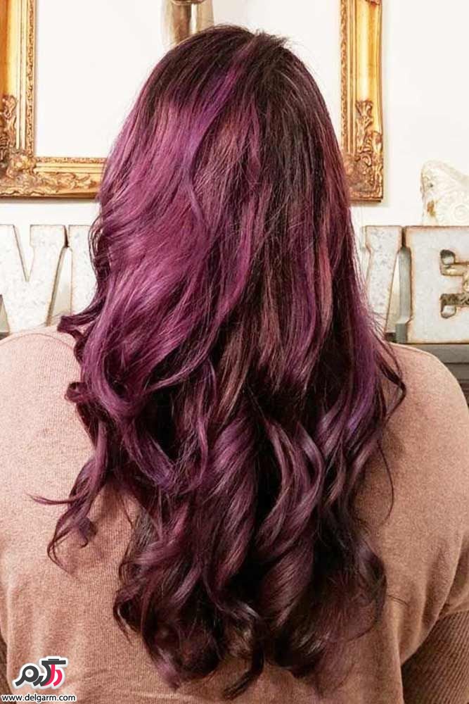 Violet and combination hair