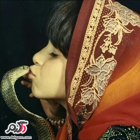  ملکه مار ایران: ۱۱ بار زبان مار افعی را بوسیدم! +عکس 