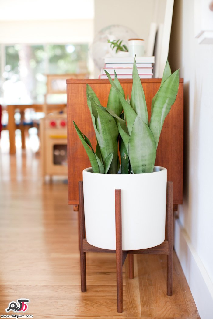 گلدان پایه دار برای خانه های مدرن