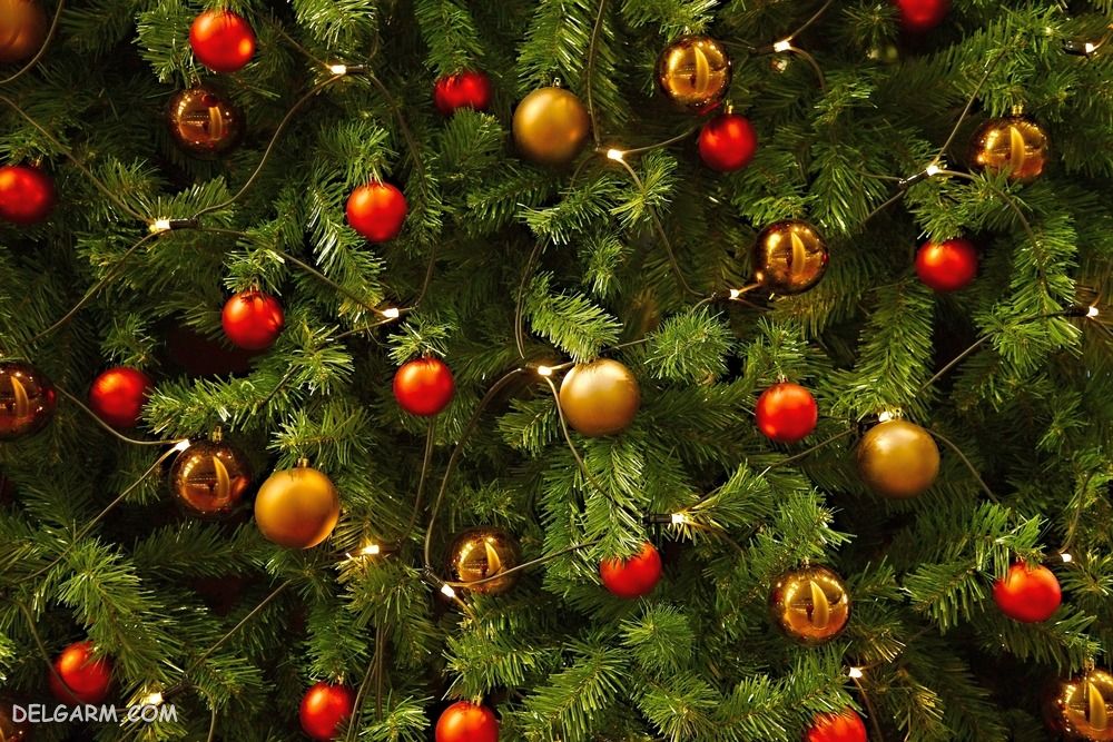 درخت کریسمس دست دوم