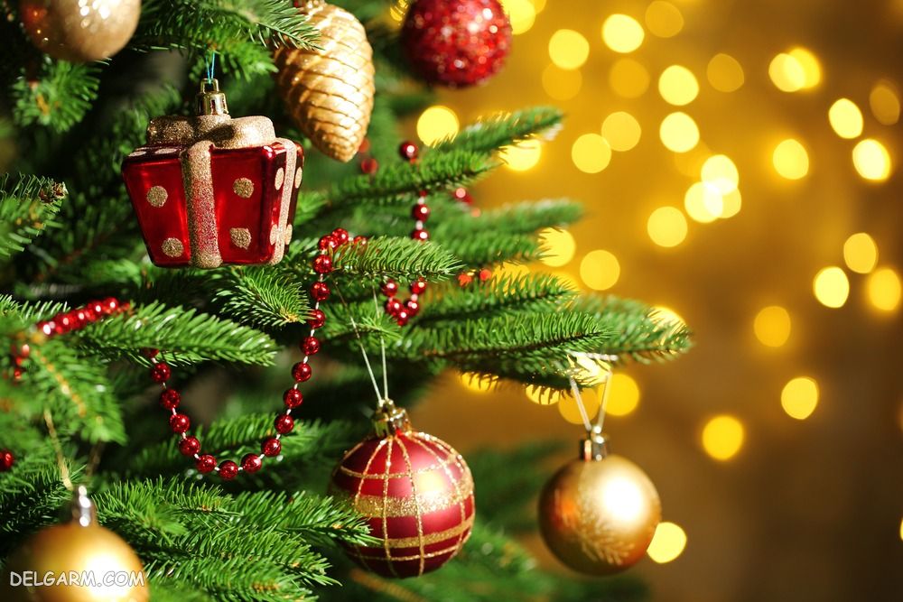 درخت کریسمس دست دوم