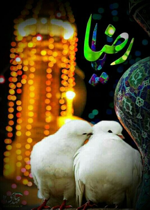 متن برای استوری حرم امام رضا