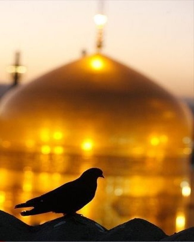 متن برای استوری حرم امام رضا