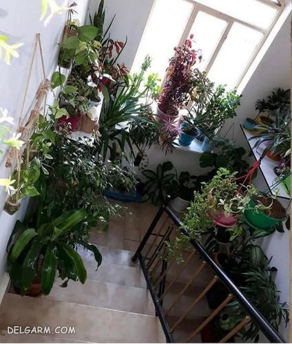 چیدمان جهیزیه عروس شیک