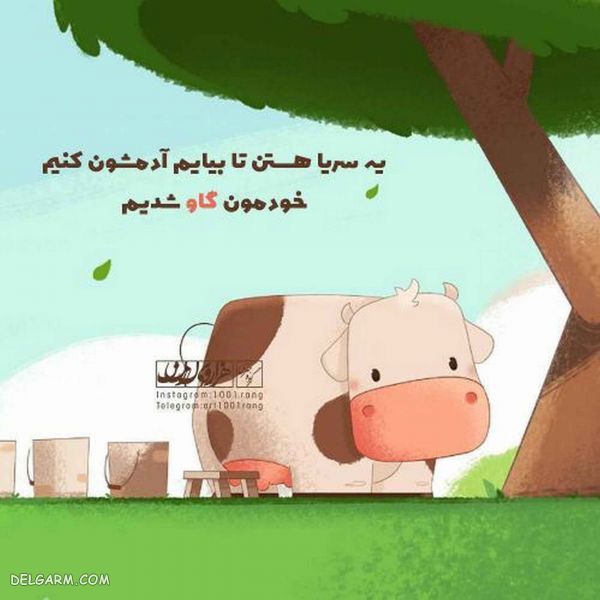 ۵۰عکس نوشته فانتزی جدید دخترانه