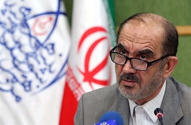 سلوی کی‌نژاد کیست ، محمد علی کی نژاد ، عضو شورای انقلاب فرهنگی
