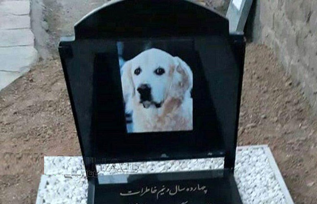 مراسم خاکسپاری یک سگ در مسجد! + عکس