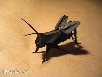 ساخت حشرات کاغذی با هنر اوریگامی