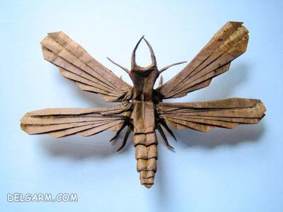 ساخت حشرات کاغذی با هنر اوریگامی