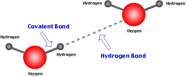 پیوند هیدروژنی