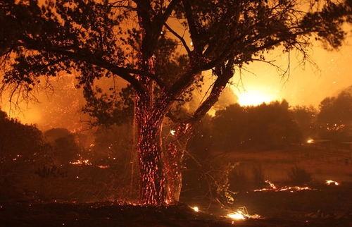 تصاویر آتش سوزی جنگل‌های کالیفرنیا