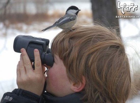 راهنمای سفر به ارمنستان