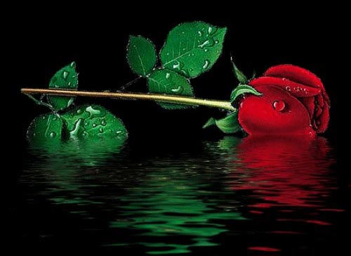 درباره عشق , این واژه مبهم چه می دانید؟