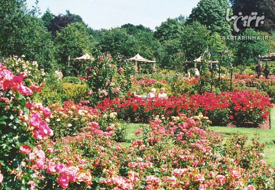 راهنمای سفر به شهر فرشته ها (1)