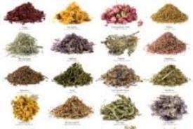 خستگی خانه تکانی را با این گیاهان برطرف کنید