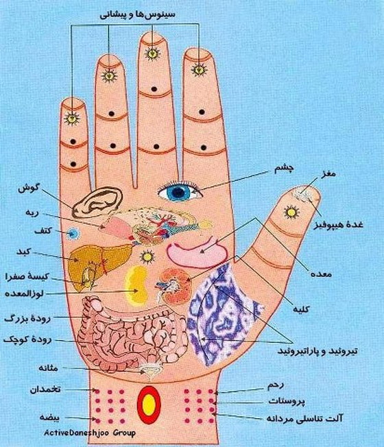 ماساژ دست و پا و اثراتش برسایر اعضا بدن +عکس