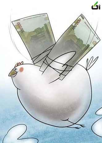 گرانی مرغ به روایت کاریکاتور - آکا