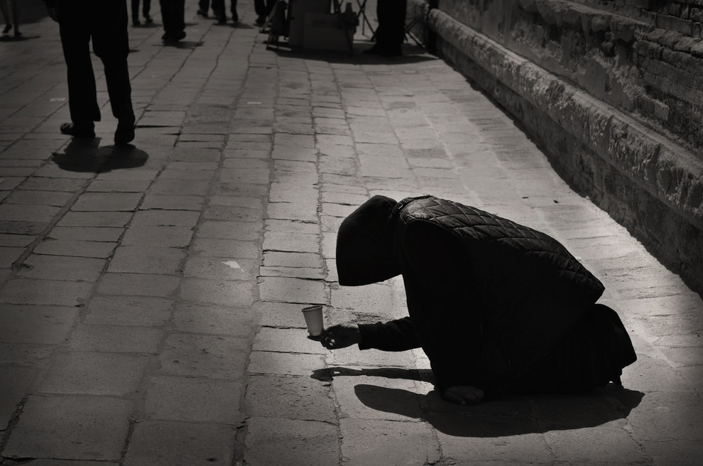 برگزیدگان مسابقه عکاسی 2014