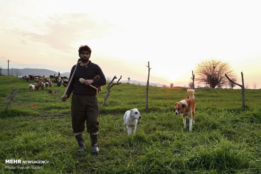 زندگی ساده روستایی