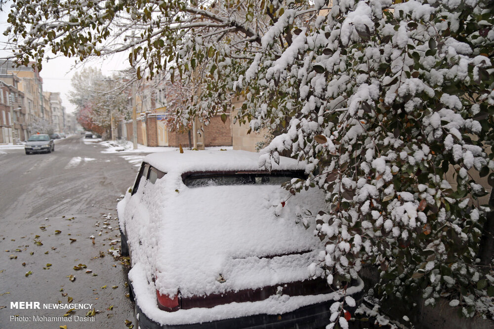تصاویر بارش برف پائیزی در اردبیل