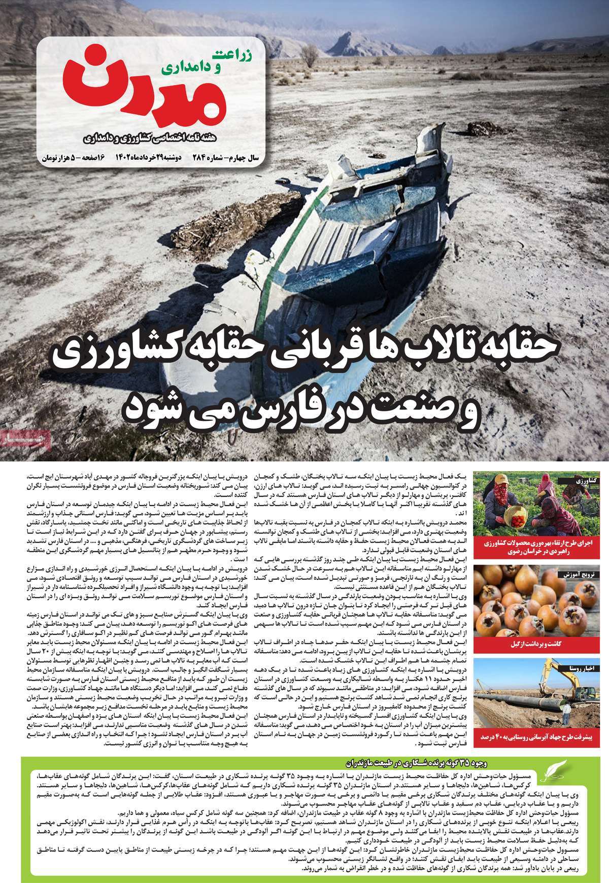 صفحه نخست مجله زراعت و دامداری مدرن - دوشنبه, ۲۹ خرداد ۱۴۰۲