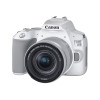 قیمت Canon EOS 250D 18-55 IS STM Digital Camera