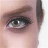 قیمت لنز چشم رویال ویژن شماره 24 مدل lemony
