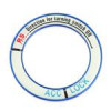 قیمت حلقه استارت مدل RS مناسب برای پژو 206