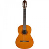 قیمت Yamaha C40 Classical Guitar