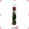 قیمت تراریوم گل تناز کد 762