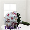 قیمت دسته گل عروس ارکیدهbfc-498