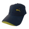 قیمت کلاه کپ مدل m.r 319