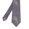 قیمت کراوات مردانه مدل بته جقه کد 1260