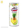 قیمت آبمیوه گلشن حجم 280 میلی لیتری