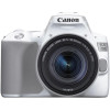 قیمت Canon EOS 250D 18-55mm EF-s f4-5.6 DC III