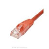 قیمت Patch Cord Cable Nexans Cat6 UTP 2m