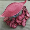 قیمت میوه خشک فرحبخش ( پودر لبو خشک 200 گرمی )