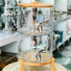 قیمت کلمن شیشه ای دوطبقه