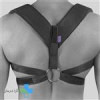 قیمت بانداژ ترقوه ورنا
