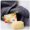 قیمت صابون ضد لک بیز مدل stain soap وزن 100 گرم