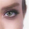 قیمت لنز چشم رویال ویژن شماره 18 مدل Green