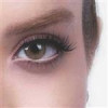 قیمت لنز چشم رویال ویژن شماره 17 مدل ocre