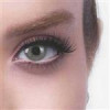 قیمت لنز چشم رویال ویژن شماره 19 مدل lazord