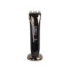 قیمت ماشین اصلاح موی سر و صورت دینگ لینگ مدل RF-912