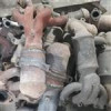 قیمت جایگزین کاتالیزور تیباو ساینا و کوییک