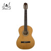 قیمت Parsi M2 Classical Guitar