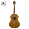 قیمت Parsi M5 Classical Guitar